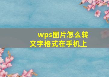 wps图片怎么转文字格式在手机上