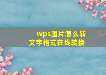 wps图片怎么转文字格式在线转换