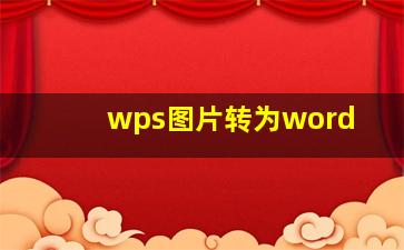 wps图片转为word