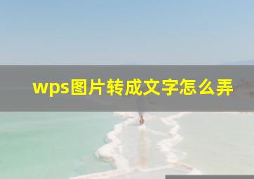 wps图片转成文字怎么弄