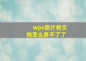 wps图片转文档怎么弄不了了