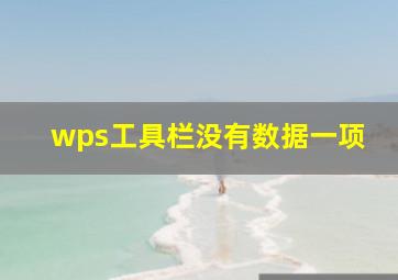 wps工具栏没有数据一项