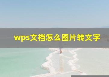 wps文档怎么图片转文字