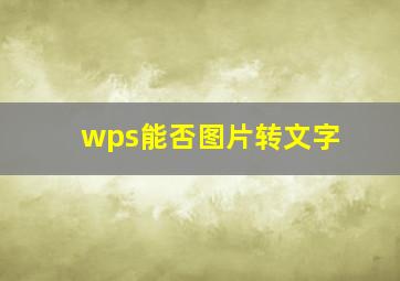 wps能否图片转文字