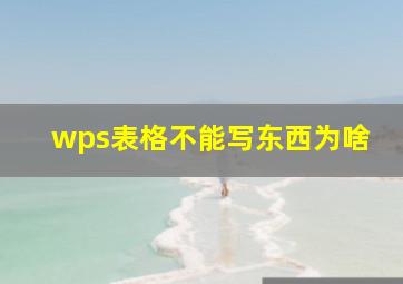 wps表格不能写东西为啥