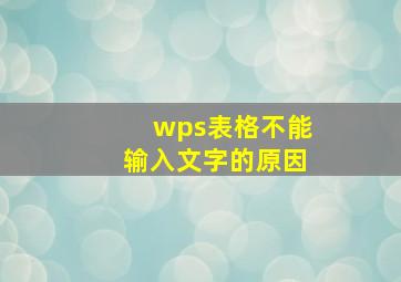 wps表格不能输入文字的原因