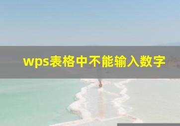 wps表格中不能输入数字