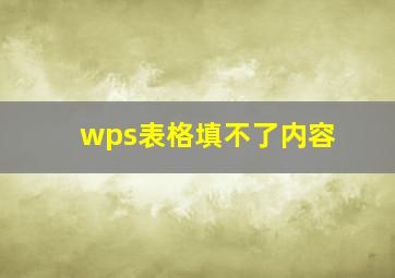 wps表格填不了内容