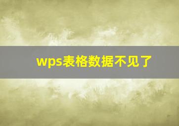 wps表格数据不见了