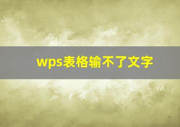 wps表格输不了文字