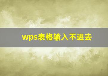 wps表格输入不进去