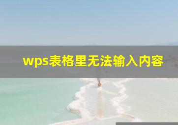 wps表格里无法输入内容