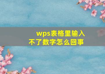 wps表格里输入不了数字怎么回事