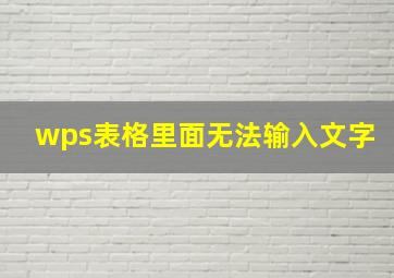 wps表格里面无法输入文字