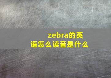 zebra的英语怎么读音是什么