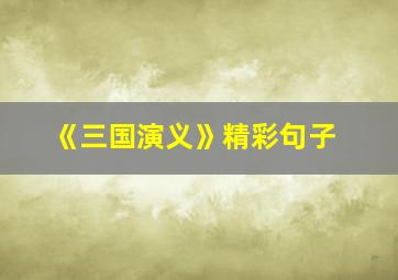 《三国演义》精彩句子