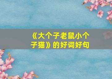 《大个子老鼠小个子猫》的好词好句