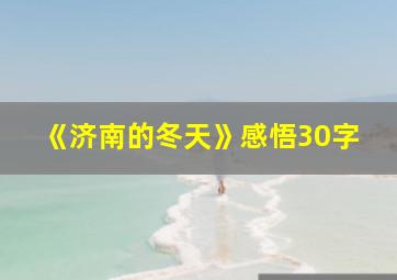 《济南的冬天》感悟30字