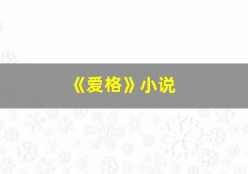 《爱格》小说