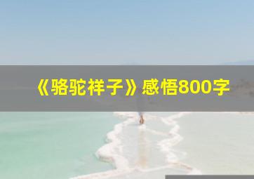 《骆驼祥子》感悟800字