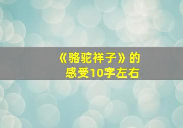 《骆驼祥子》的感受10字左右