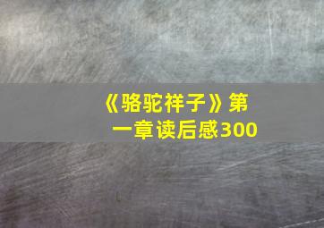 《骆驼祥子》第一章读后感300