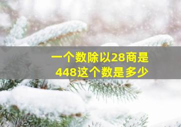 一个数除以28商是448这个数是多少