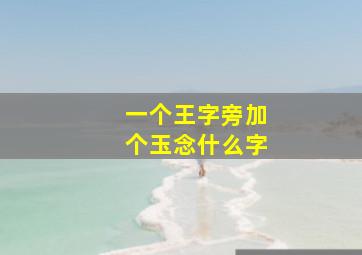 一个王字旁加个玉念什么字