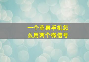 一个苹果手机怎么用两个微信号