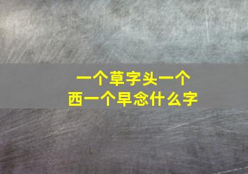 一个草字头一个西一个早念什么字