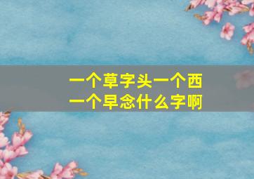 一个草字头一个西一个早念什么字啊