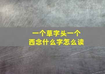 一个草字头一个西念什么字怎么读