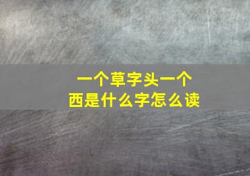 一个草字头一个西是什么字怎么读