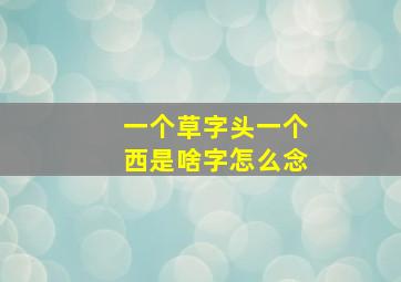 一个草字头一个西是啥字怎么念