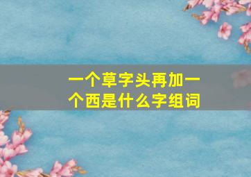 一个草字头再加一个西是什么字组词