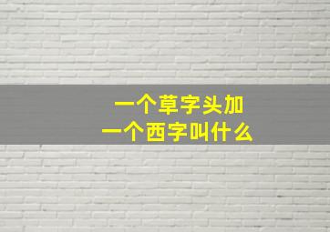 一个草字头加一个西字叫什么