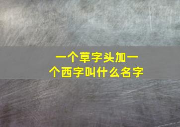 一个草字头加一个西字叫什么名字