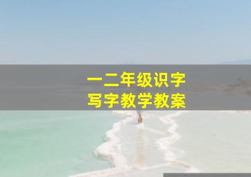 一二年级识字写字教学教案