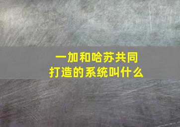 一加和哈苏共同打造的系统叫什么