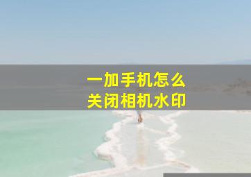 一加手机怎么关闭相机水印