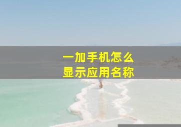 一加手机怎么显示应用名称