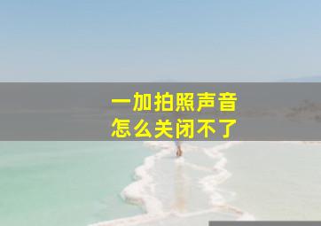 一加拍照声音怎么关闭不了