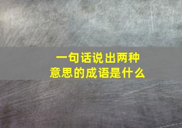 一句话说出两种意思的成语是什么