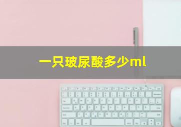 一只玻尿酸多少ml