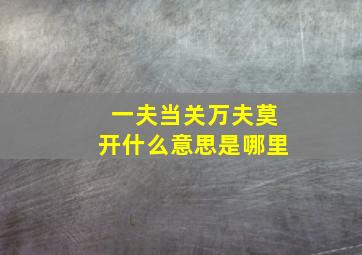 一夫当关万夫莫开什么意思是哪里