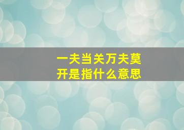 一夫当关万夫莫开是指什么意思