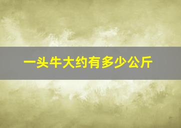 一头牛大约有多少公斤