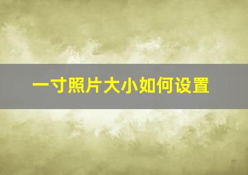 一寸照片大小如何设置