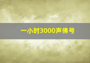 一小时3000声佛号