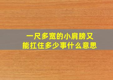 一尺多宽的小肩膀又能扛住多少事什么意思